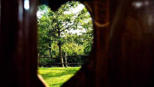 Stara Hi a Vla i - Duplex one bedroom Chalet with Private Garden - Foto 3