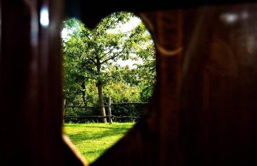 Stara Hi a Vla i - Duplex one bedroom Chalet with Private Garden - Foto 3