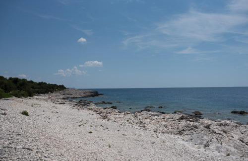 Sakarun - Ena - Photo 65