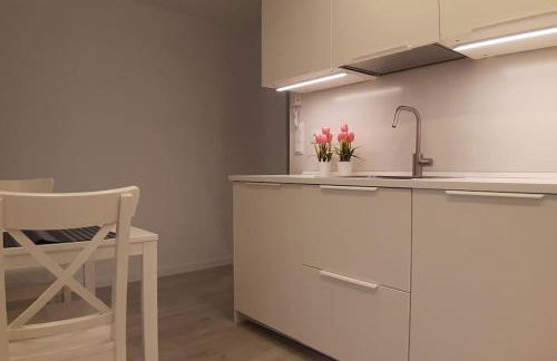 LOVINBurgos Amarás Burgos y volverás - Foto 5