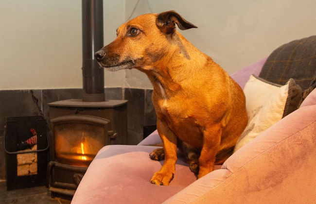 High Paradise Farm - Foto 70