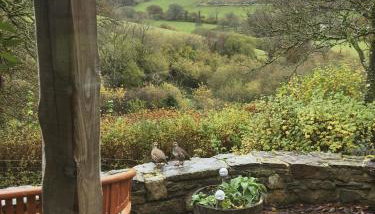 2 Lower Spire - Foto 2