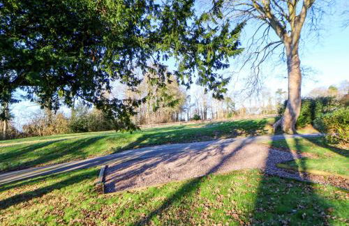 The Apple Store - Photo 29
