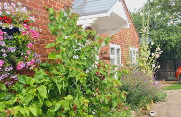 Sherwood Bungalow 3 Bedroom Entire Property - Foto 50