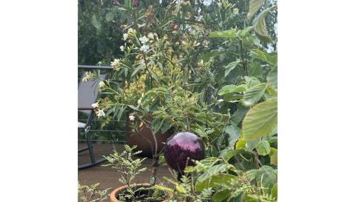 Apartment in Geisenheim with swimming pool - Foto 3, Other