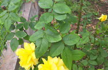 Traditional Stone House-Ideal for families - Foto 7