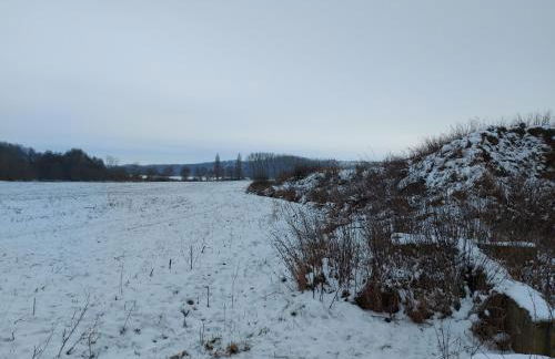 Ferienwohnung 'Frühauf' im Südharz OT Uftrungen - Foto 64