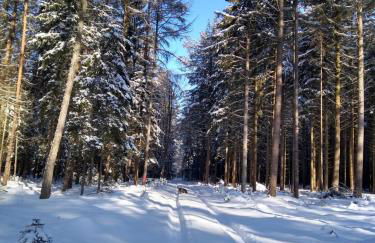 Haus am See - Photo 10