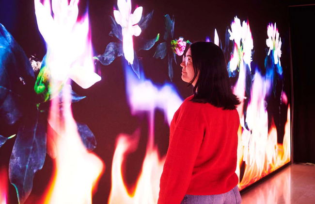 Hortensia Herrero Art Centre - Photo 10