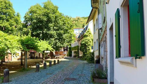Löwe Apartment Gelb Tiengen Altstadt - Foto 4