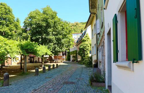 Löwe Apartment Gelb Tiengen Altstadt - Foto 4