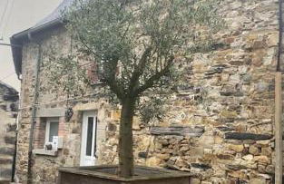 Maison de ville- quartier calme - Foto 12