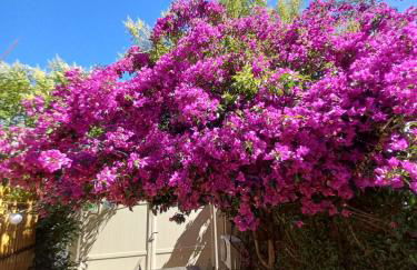 Studio avec rez de jardin - Foto 3