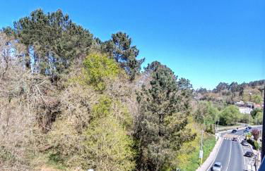 Apartamento Ó Xeitoso Milladoiro - Foto 17