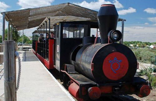 Pedras D'el Rei - Relax Estúdio - Foto 38