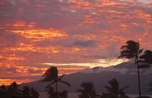 Ground Floor & ac - kbv11g2 - Sullivan Properties - Photo 33