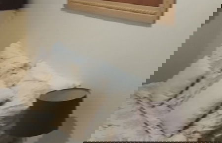 Apartamento Encantador - Foto 21