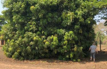 Chácara em São Pedro com piscina e churrasqueira - Foto 28