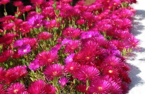 Villa Mele - Foto 72