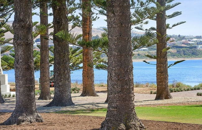 Breeze Beachfront Apartment no 1 - First Floor - Photo 17