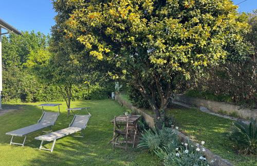 Versilia Apartment with Garden - Foto 17