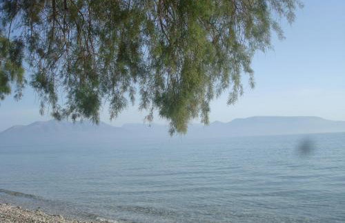 Σοφίτα Μαρτά - Foto 49