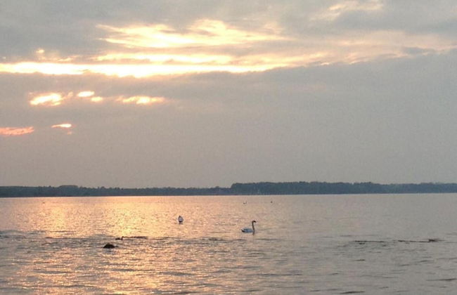 Ground-floor Getaway With Garden - Foto 36