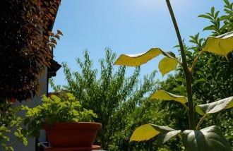 Appartment Lodged Mamma Maria - Foto 13