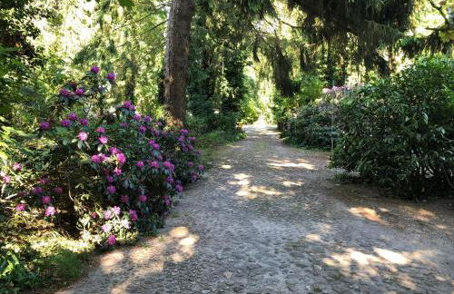 Ferienhaus Hudemühlen - Photo 26