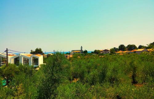 Blue Studios by Irene - Photo 13