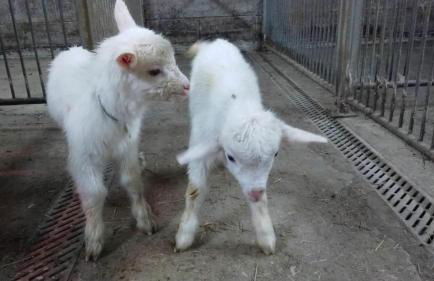 Agriturismo Les Ecureuils - Foto 29