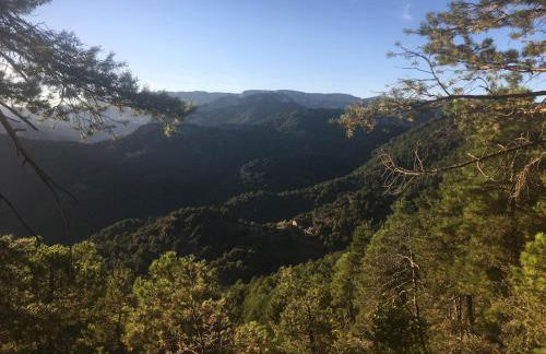 La Pegatera Masia rodeada de bosque ideal para desconectar - Photo 72