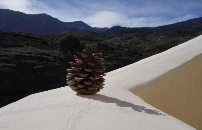 Finca La Raya - Foto 73