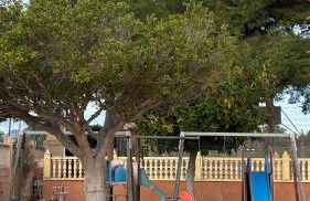 Lanzas Beach - Photo 8