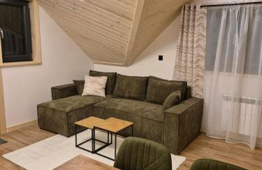 Apartament z prywatną wanną z hydromasażem - U Parów - Foto 65