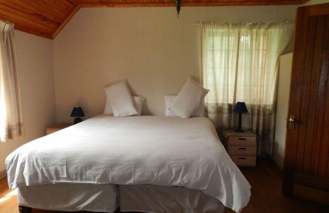 Field and Stream - Foto 5