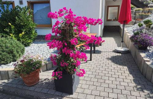 Ferienwohnung Moselzeit - Foto 1