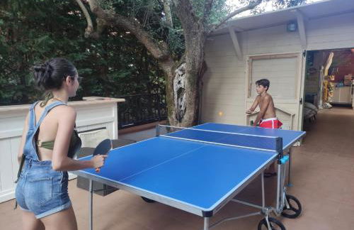 Residence Villa Andrea - Foto 18