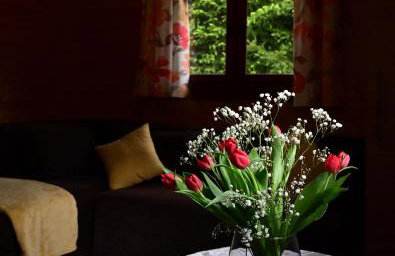 Ośrodek Wypoczynkowy ADA - Foto 37