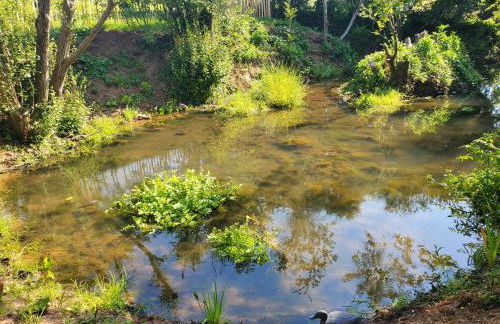 Le clos des sources - Foto 53