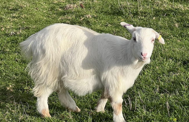 Poachers Hut 1-bed Cottage, Sleeps 2, Pet Friendly - Photo 10