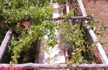 Apartments Drpic - Foto 30