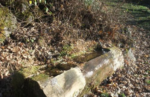 Gîte isolé au cœur des Vosges, parfait pour randonnées - FR-1-583-430 - Foto 15