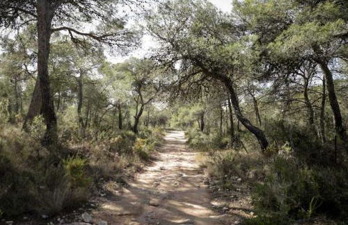 Casa Robles, casa con piscina y barbacoa - Photo 45