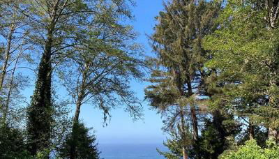 Beautiful Ocean View Cabin and Hot Tub! - Foto 3