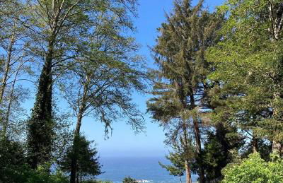 Beautiful Ocean View Cabin and Hot Tub! - Foto 3