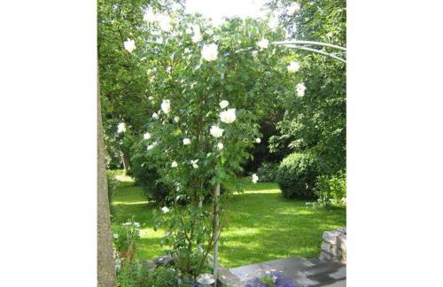 "Villa am Waldweg" Comfortable holiday residence - Foto 14