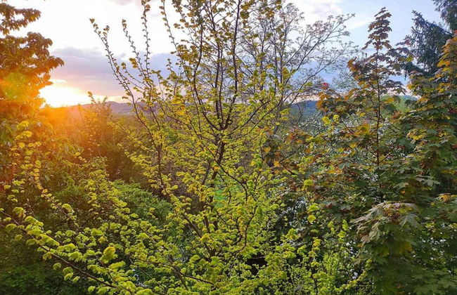 Holiday Home With Garden in Weissenbrunn - Foto 36