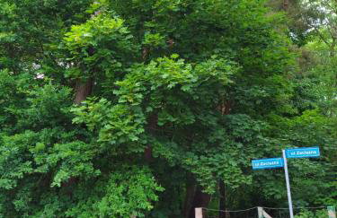 Apartament Alicja - Foto 20