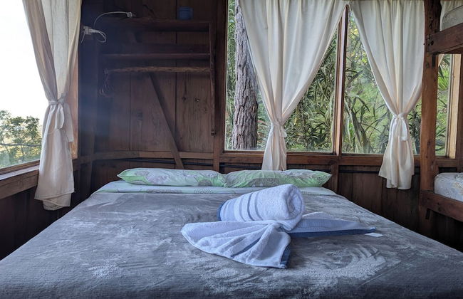 Campos de Oro Wilderness Lodge - Photo 8